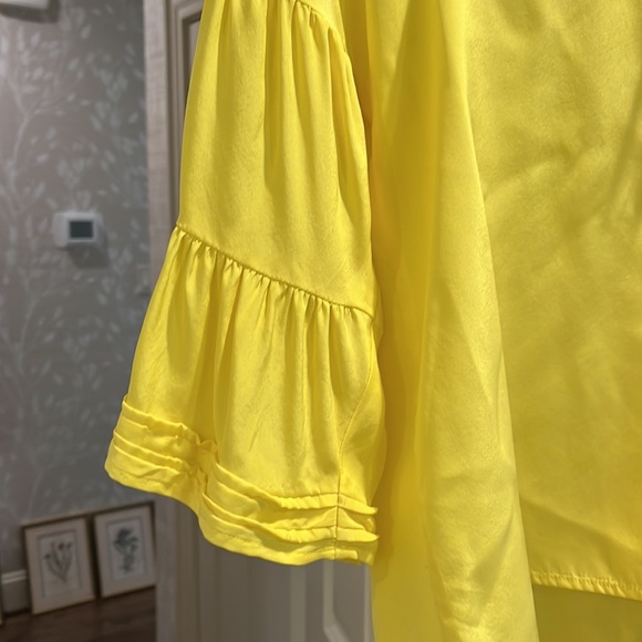 Marie Oliver worn once, S, gorgeous ruffle sleeves - Picture 5 of 5
